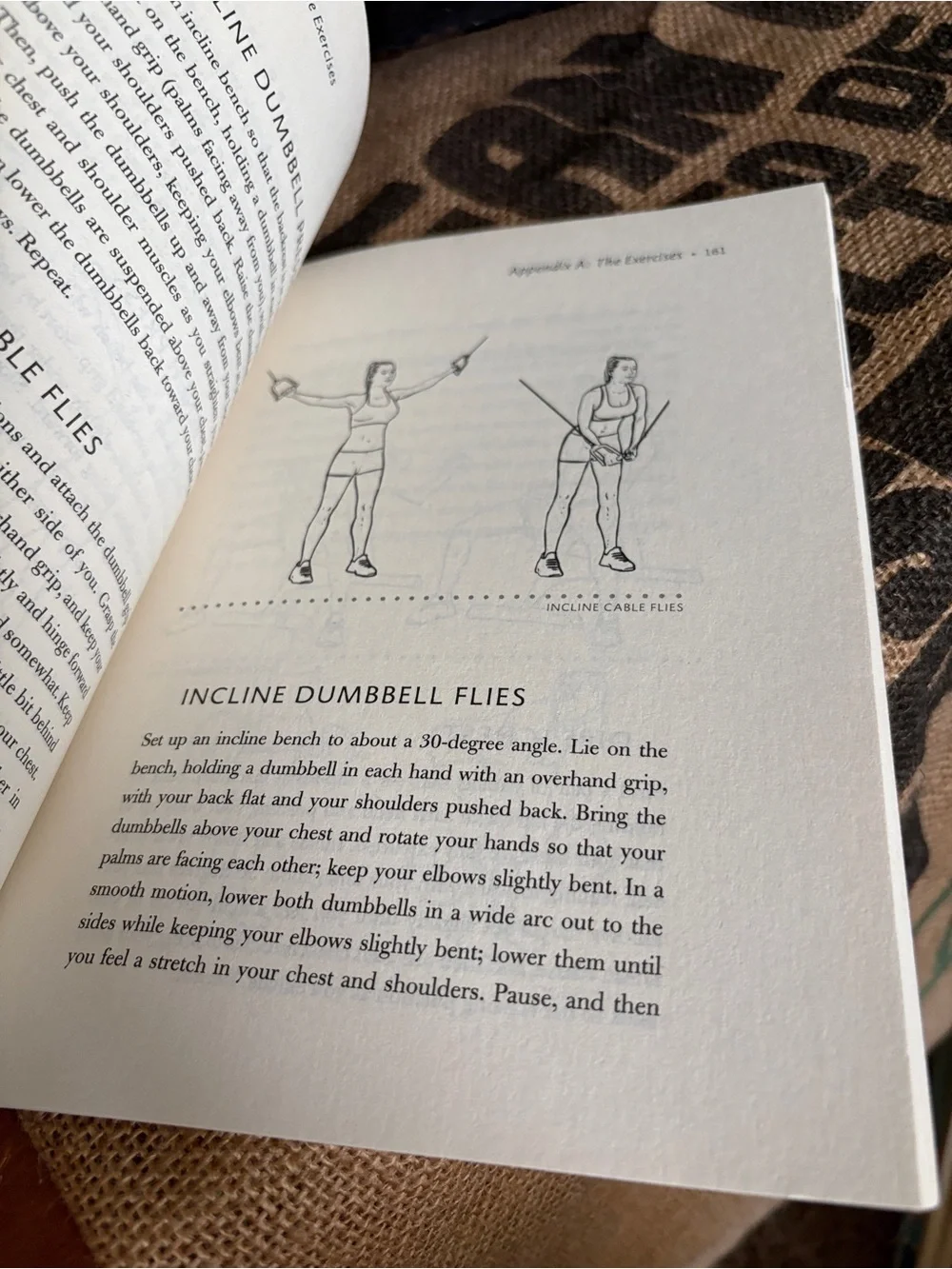 “Just Your Type” Book